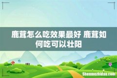 鹿茸怎么吃效果最好 鹿茸如何吃可以壮阳