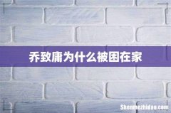 乔致庸为什么被困在家