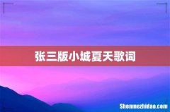 张三版小城夏天歌词