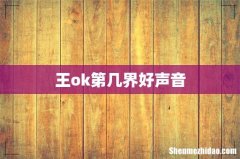 王ok第几界好声音