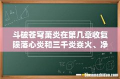 斗破苍穹萧炎在第几章收复陨落心炎和三千炎焱火、净莲妖火