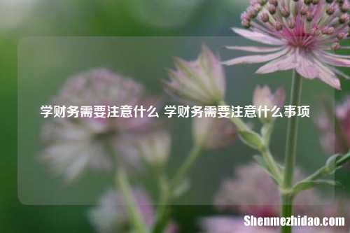 学财务需要注意什么 学财务需要注意什么事项