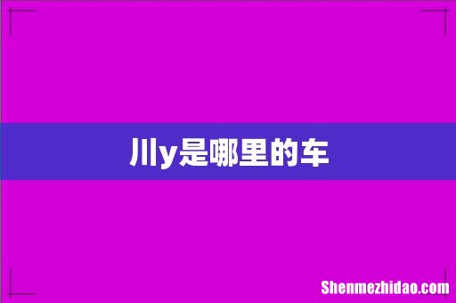 川y是哪里的车