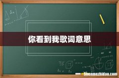你看到我歌词意思