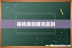 樱桃爽和硬壳区别