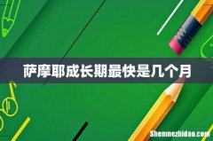 萨摩耶成长期最快是几个月