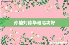 孙楠刘德华谁唱功好