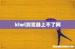 kiwi浏览器上不了网