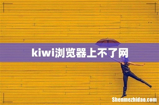 kiwi浏览器上不了网