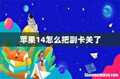 苹果14怎么把副卡关了