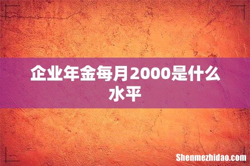 企业年金每月2000是什么水平