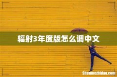 辐射3年度版怎么调中文