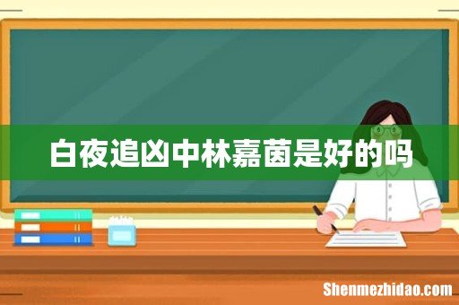 白夜追凶中林嘉茵是好的吗