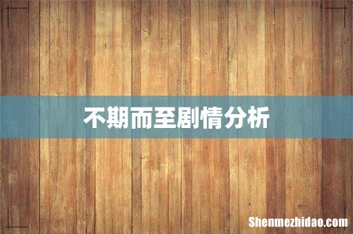 不期而至剧情分析