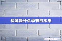 榴莲是什么季节的水果