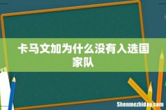 卡马文加为什么没有入选国家队