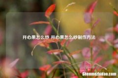 开心果怎么炒 开心果怎么炒制作方法
