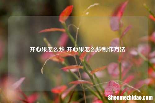 开心果怎么炒 开心果怎么炒制作方法