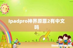 Ipadpro神界原罪2有中文吗