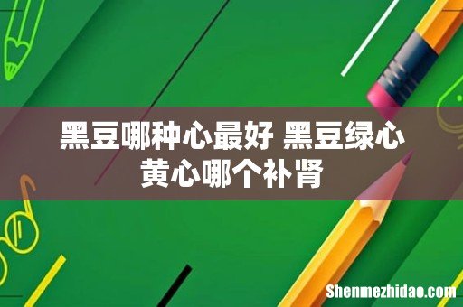黑豆哪种心最好 黑豆绿心黄心哪个补肾