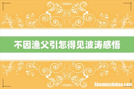 不因渔父引怎得见波涛感悟