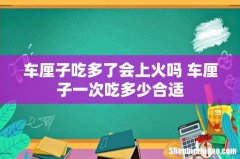 车厘子吃多了会上火吗 车厘子一次吃多少合适