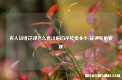 有人知道花呗怎么套出来吗手续费多少 花呗如何套出