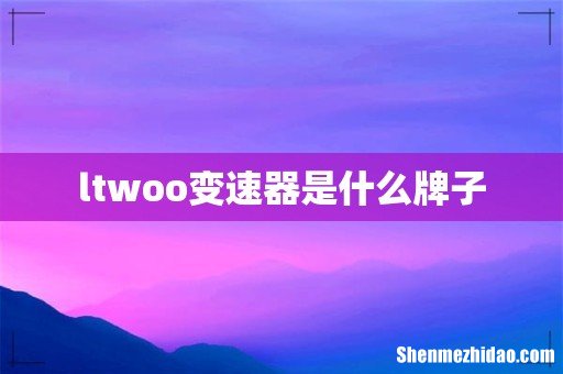ltwoo变速器是什么牌子