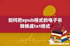 如何把epub格式的电子书转换成txt格式