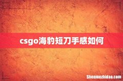 csgo海豹短刀手感如何