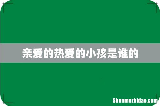 亲爱的热爱的小孩是谁的