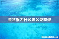 金丝猴为什么这么受欢迎