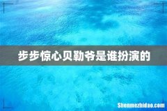 步步惊心贝勒爷是谁扮演的