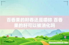 百香果的籽吞还是嚼碎 百香果的籽可以被消化吗