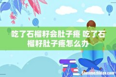 吃了石榴籽会肚子疼 吃了石榴籽肚子疼怎么办