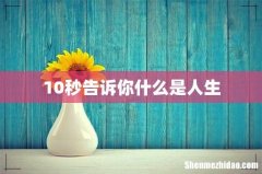 10秒告诉你什么是人生