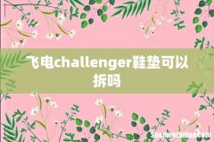 飞电challenger鞋垫可以拆吗