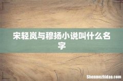 宋轻岚与穆扬小说叫什么名字