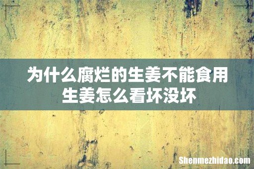 为什么腐烂的生姜不能食用 生姜怎么看坏没坏