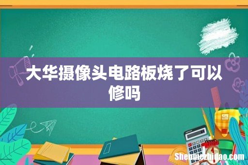 大华摄像头电路板烧了可以修吗