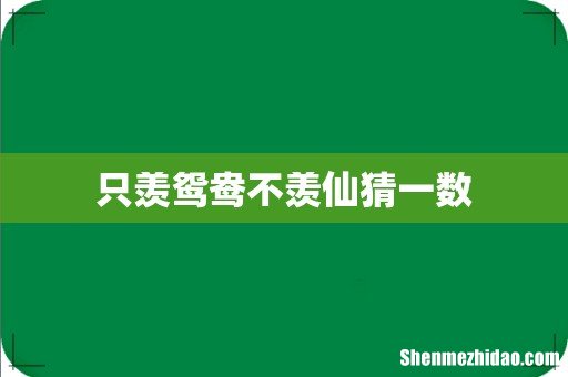 只羡鸳鸯不羡仙猜一数