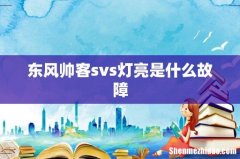 东风帅客svs灯亮是什么故障