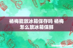 杨梅能放冰箱保存吗 杨梅怎么放冰箱保鲜